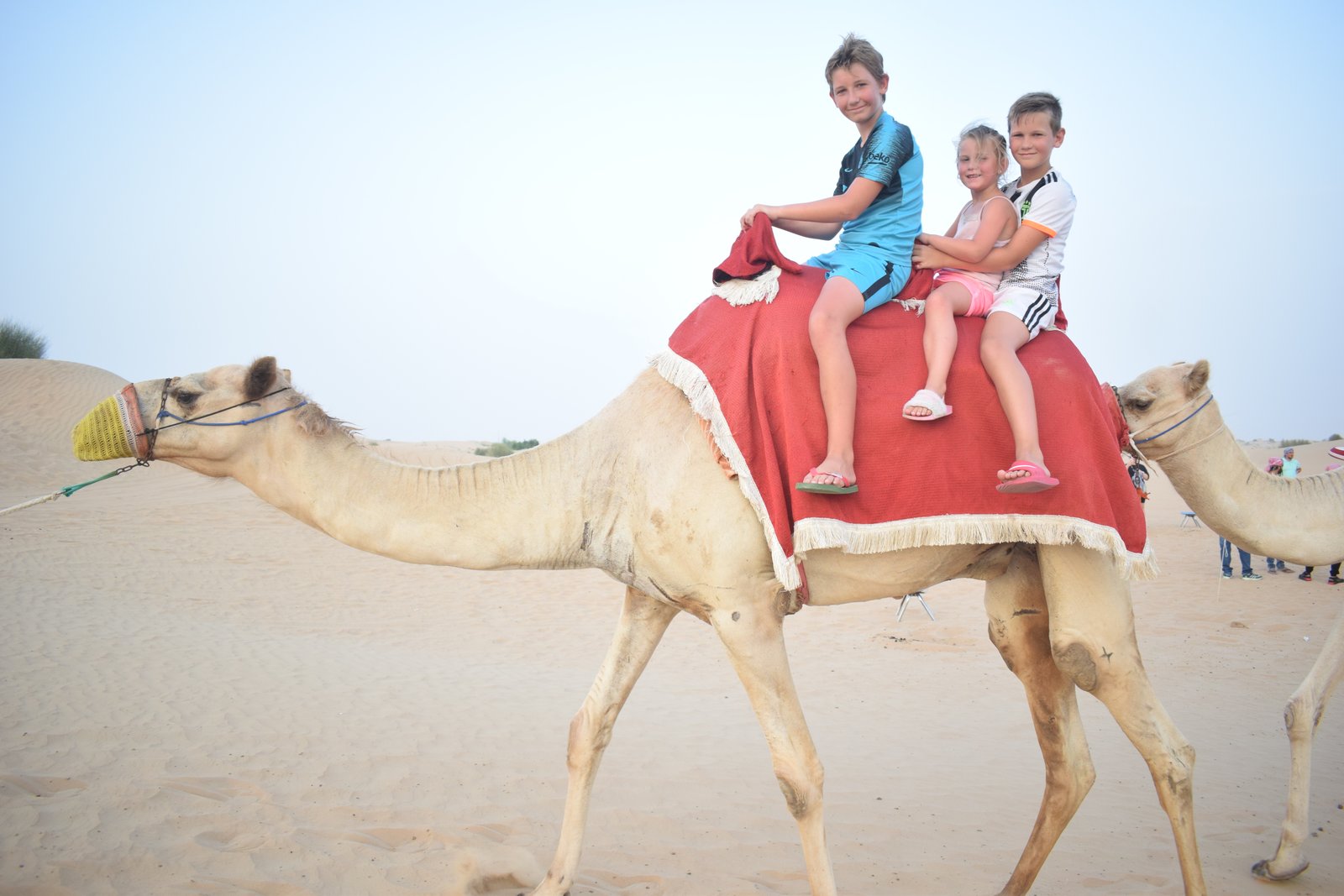 Evening Desert Safari